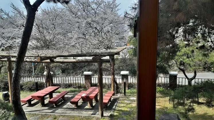 Basic Tek Büyük Yataklı Oda