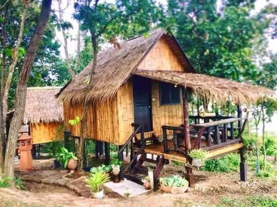 Forest Hut