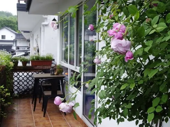 Family Oda, 1 Yatak Odası