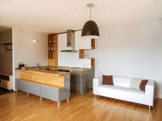 Çatı Katı (Loft) (Bukovec)