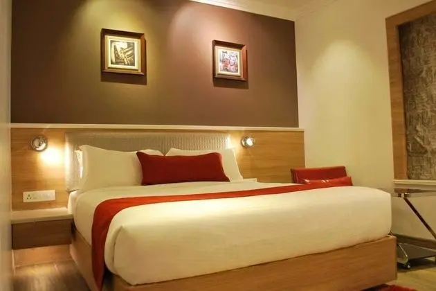 Deluxe Oda, 1 Tek Kişilik XL Yatak, Engellilere Uygun, Sigara İçilebilir