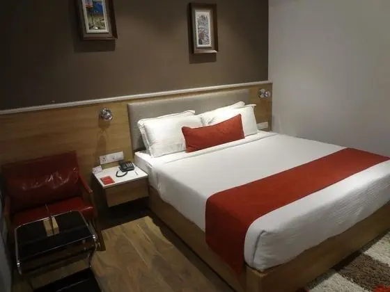 Deluxe Oda, 1 Tek Kişilik XL Yatak, Engellilere Uygun, Sigara İçilebilir