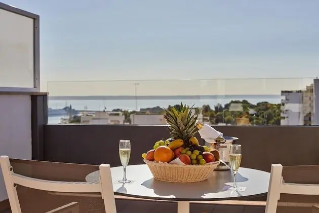 Luxury Tek Büyük Yataklı Oda, Teras, Deniz Manzaralı