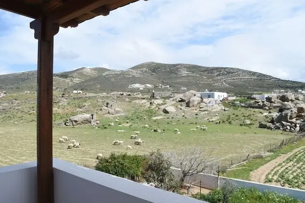 Apart Daire, 1 Yatak Odası (2-3 persons)