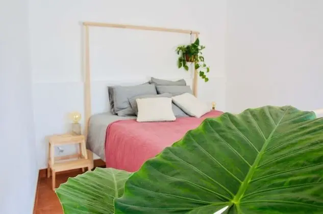 Comfort Apart Daire, 1 Yatak Odası, Bahçe Manzaralı, Zemin Kat