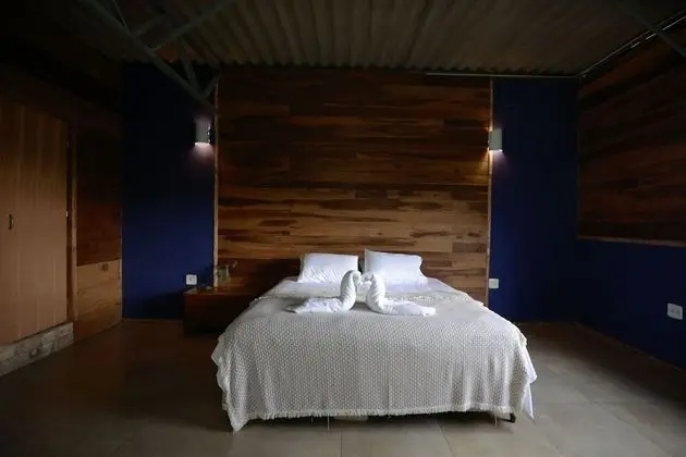 Deluxe Çatı Katı Süiti (Penthouse)