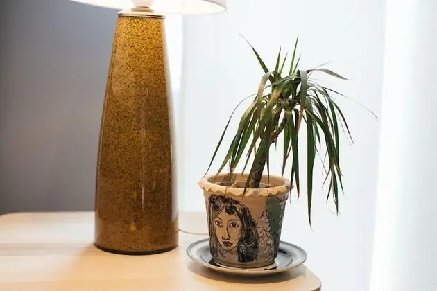 Deluxe Tek Büyük Yataklı Oda, Sauna, Okyanusa Sıfır