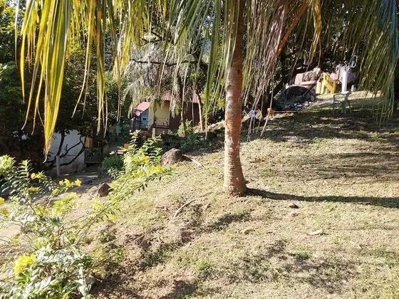 Üç Kişilik Oda