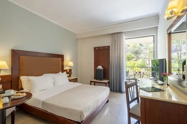 Tek Kişilik Oda, Balkon, Bahçe Manzaralı