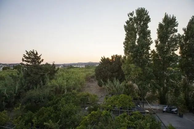 Stüdyo (3 guests)