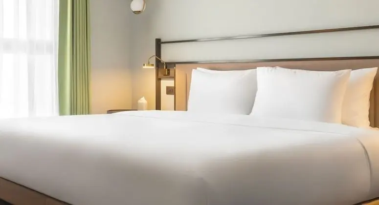 Deluxe Tek Büyük Yataklı Oda, 1 En Büyük (King) Boy Yatak, Sigara İçilmez, Küvet