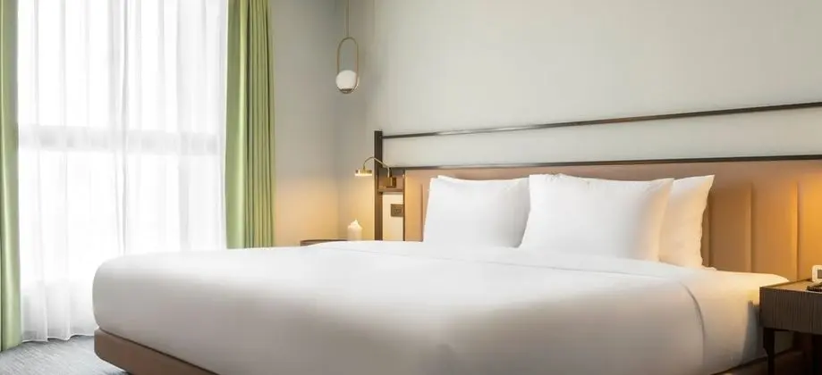Deluxe Tek Büyük Yataklı Oda, 1 En Büyük (King) Boy Yatak, Sigara İçilmez, Küvet