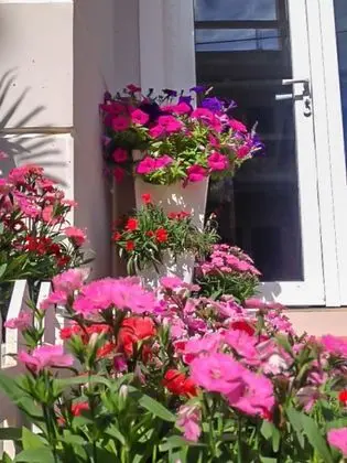 Standard Villa (2 Double Rooms - Great Getaway)