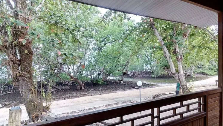 Standard Kır Evi, 1 Çift Kişilik Yatak, Teras, Denize Sıfır