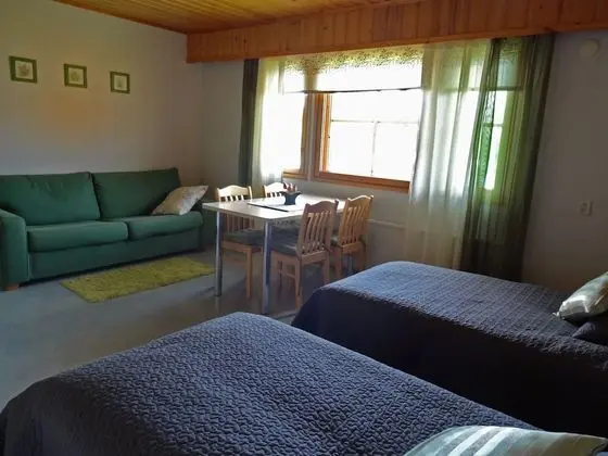 Tek Büyük Yataklı Oda, Göl Manzaralı (Joutsen)