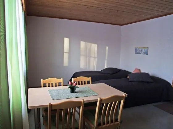 Tek Büyük Yataklı Oda, Göl Manzaralı (Joutsen)