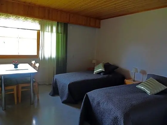 Tek Büyük Yataklı Oda, Göl Manzaralı (Joutsen)