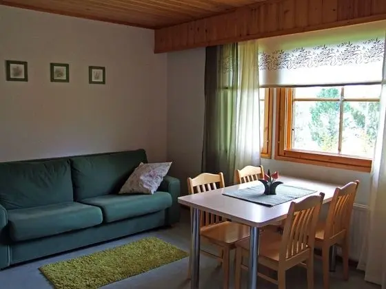 Tek Büyük Yataklı Oda, Göl Manzaralı (Joutsen)