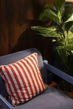 Cozy Studio