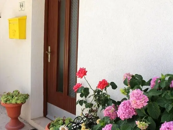 Apart Daire (Josi - 50 m from sea - A1(2+1))