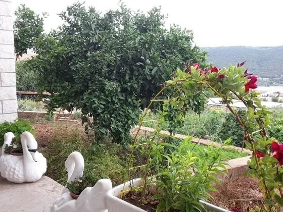Apart Daire (Josi - parking and barbecue - A1(2+2))