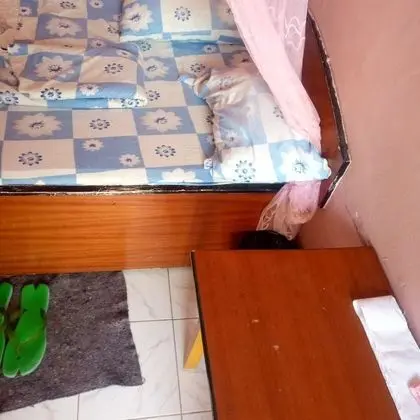 Tek Kişilik Oda