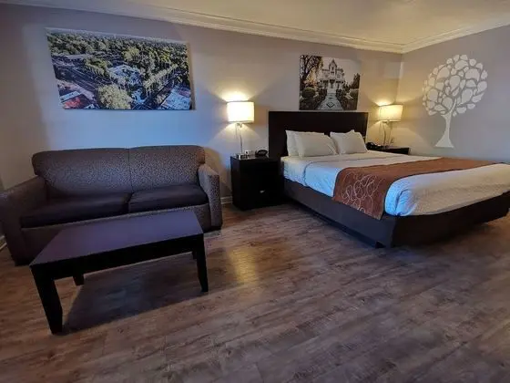 Premium Oda, 1 Büyük (Queen) Boy Yatak, Sigara İçilebilir