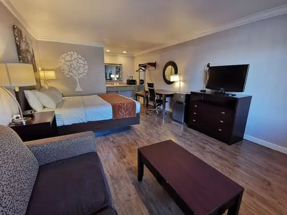 Premium Oda, 1 Büyük (Queen) Boy Yatak, Sigara İçilebilir
