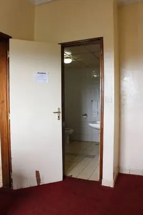 Süit