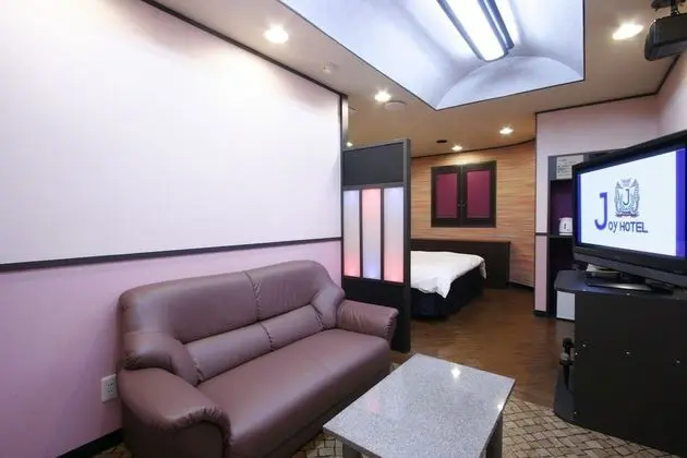 Comfort Büyük Yataklı Tek Kişilik Oda, 1 Büyük (Queen) Boy Yatak (Business, King Bed, C1)