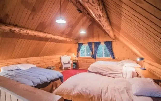 Delightful Cabin #4 on the Kenai River