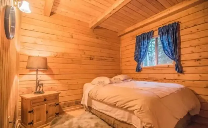 Delightful Cabin #4 on the Kenai River