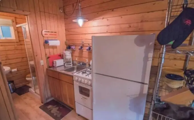 Delightful Cabin #4 on the Kenai River