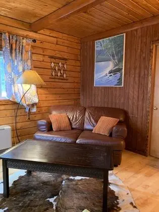 Lovely Cabin #2 on Kenai River