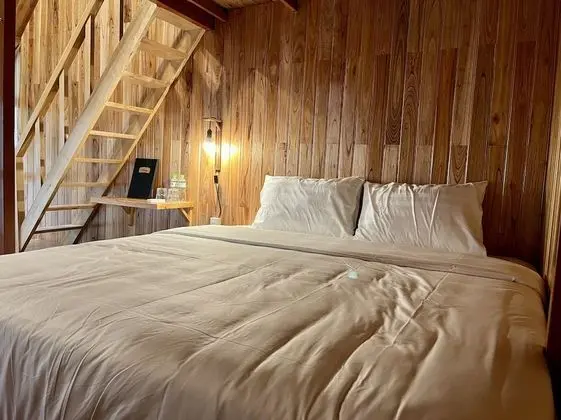 Ortak Ranzalı Oda, Karma Ranzalı Oda (1 Bed in 14-Bed)