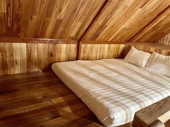 Ortak Ranzalı Oda, Karma Ranzalı Oda (1 Bed in 14-Bed)