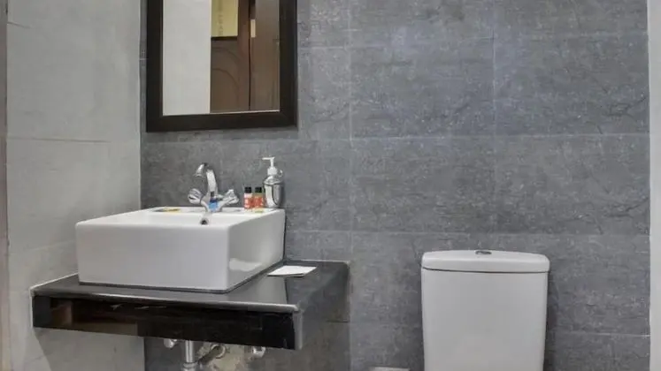 Deluxe Tek Büyük veya İki Ayrı Yataklı Oda, Sigara İçilmez