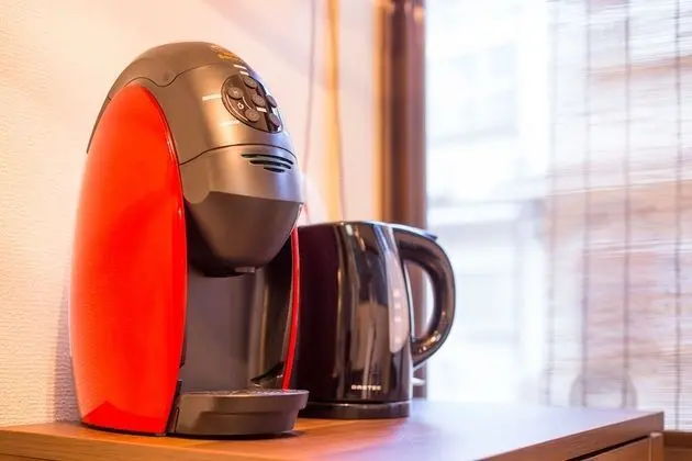 Traditional Sıra Ev (Japanese Style)