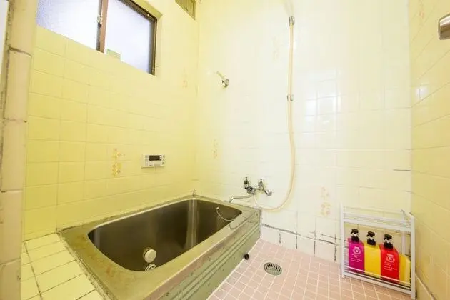 Traditional Sıra Ev (Japanese Style)