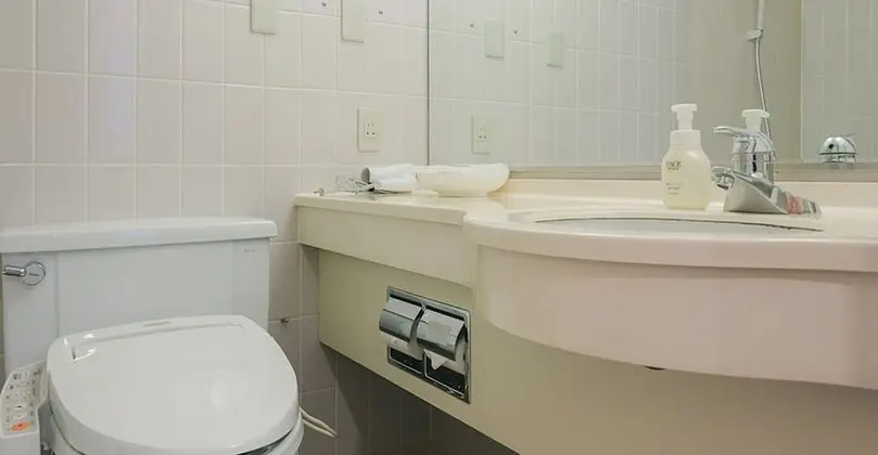 Deluxe İki Ayrı Yataklı Oda, Sigara İçilebilir