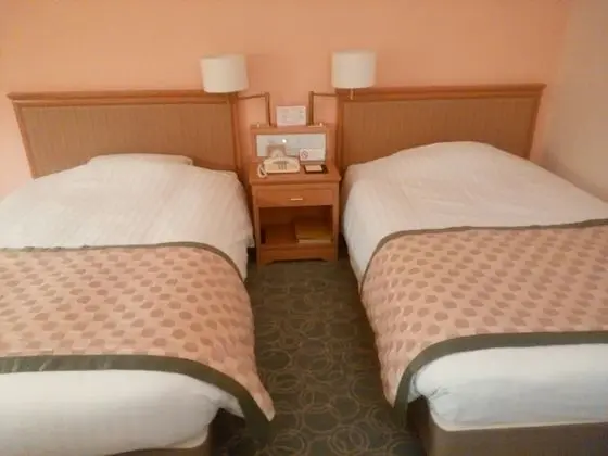 Deluxe İki Ayrı Yataklı Oda, Sigara İçilmez