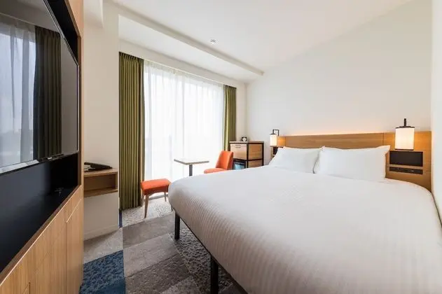 Superior Tek Büyük Yataklı Oda, Sigara İçilmez (For 1 person)