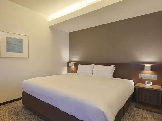 Deluxe Tek Büyük Yataklı Oda, Sigara İçilmez