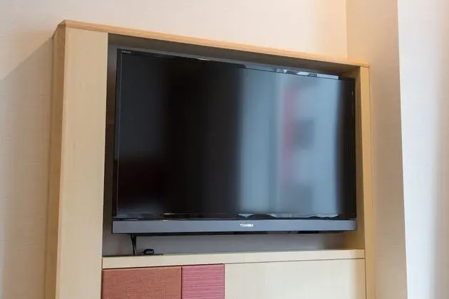 Premium İki Ayrı Yataklı Oda, Sigara İçilmez (Max 2 Adults)