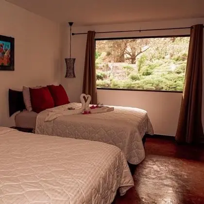Deluxe Tek Büyük Yataklı Oda, Balkon