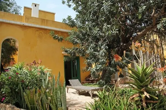 Junior Süit, Bahçe Manzaralı, Bahçeli