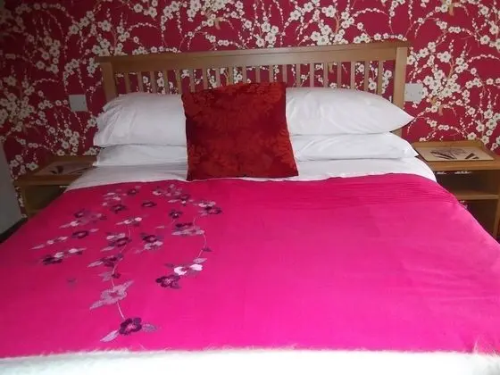 Standard Tek Büyük Yataklı Oda, Banyolu/Duşlu