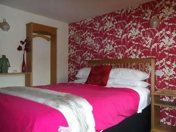 Standard Tek Büyük Yataklı Oda, Banyolu/Duşlu