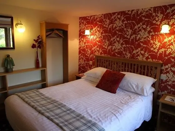 Standard Tek Büyük Yataklı Oda, Banyolu/Duşlu