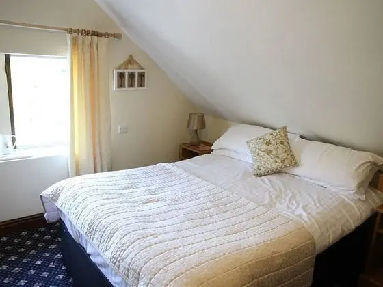 Standard Tek Büyük Yataklı Oda, Banyolu/Duşlu